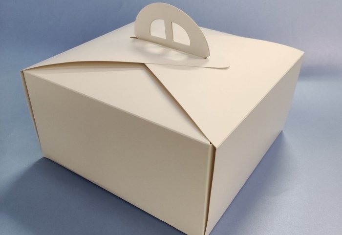 Образец фирменной бумажной упаковки с печатью №21 — Bumpaket, Ташкент
